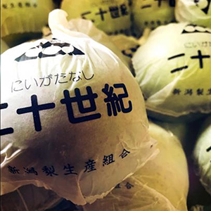 㻺 3kg