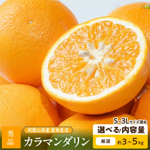 ��2027ǯȯ�������ͽ����²λ���������ޥ����� ����