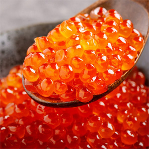 ͽ̳ƻۡĥ Ҥ500g  1Pˡ2025ǯ101缡ȯ