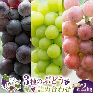 2026ǯȯͽ䣳Τ֤ɤͤ碌2026ǯ8ȯ