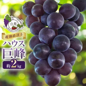 2026ǯȯͽ仺ľϥ2kg2026ǯ8ȯ
