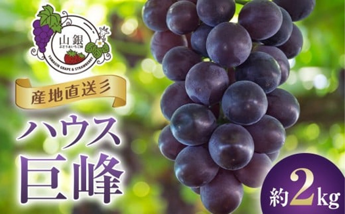 商品説明