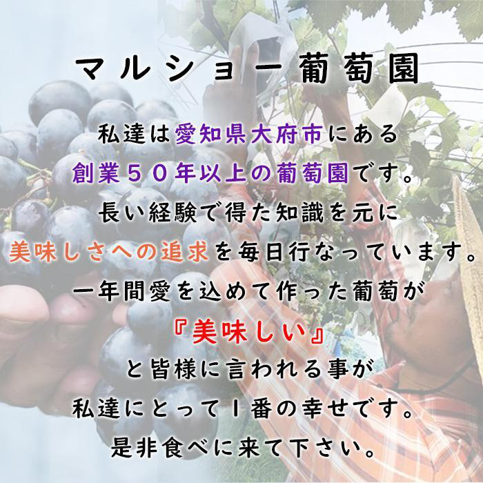 商品説明