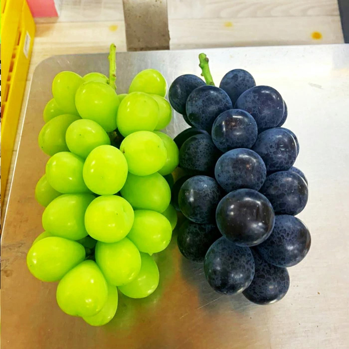 商品説明