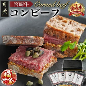 ʡޡ2026۵ܺӡ100g4P