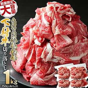 ڿ̸ꡦܻûµֲ¼ڤȤ1.0kg250g4ѥå