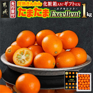 ��2026ǯȯ�������ͽ��䴰�Ϥ��󤫤�֤��ޤ��� Excellent��2L�ʾ� 1kg (����Ȣ��)