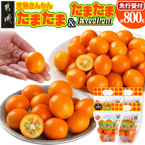 ��2026ǯȯ�������ͽ��䴰�Ϥ��󤫤�֤��ޤ���L��&�֤��ޤ���Excellent�׷�800g (������ɥѥå�����)��