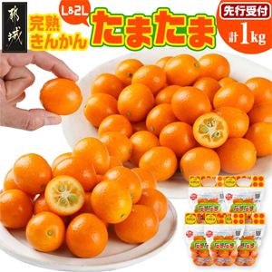 ��2026ǯȯ�������ͽ��䴰�Ϥ��󤫤�֤��ޤ���L&2L�׷�1kg (������ɥѥå�����)��