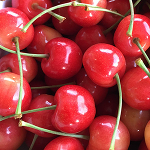 2ʼ㺴ƣӤȹȽ 2 顧 Lʾ塡South Yamagata United