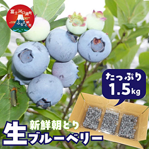 ��2026ǯ6��ܡ�ȯ������Լ��աۡ�������ľ���俷�� ī��� ���֥롼�٥꡼1.5kg