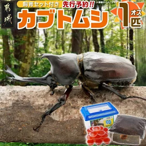 ����Լ��ա�2026ǯ6��ʹߤ��Ϥ��ۥ��֥ȥॷ(���饻�å��դ�)