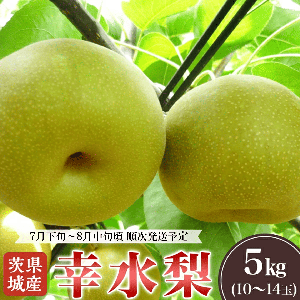 ��븩�� �� ������ �� ��5kg 7��ܡ�8�����ȯ��ͽ�ꡡ