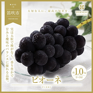 2026ǯȯͽūԻ ܤκΤ줿ƥԥ1kg 23˼