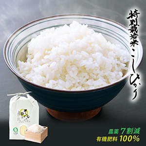 7ǯ ʡ温 ҥ ̺ ֤Ĥܡסͭ100% 7为 ˡĤܤŷȡ