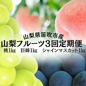 �����ͽ��仳���Υե롼������� ��3���������������㥤��ޥ����å�