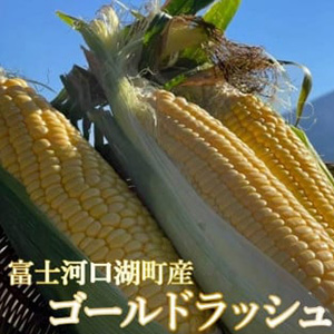 �����ͽ��/���̸���� ��2026ǯ8���9��ȯ����Inakakara�ϸ���Į���֥�����ɥ�å����6�ܡ�