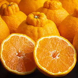 ���� �ϥ������βФ��Ǥ�