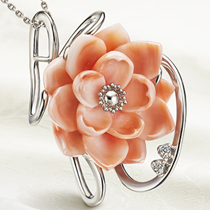 ��ɤ�����ϡ<br>��Ħ�����л����<br>��ץ���������ڥ�����