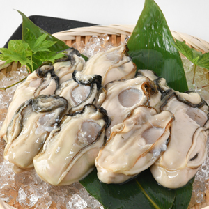 �ڴ��ָ���ȯ���ۥ��