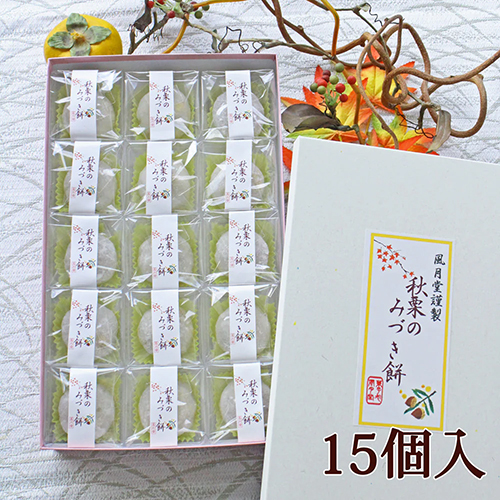 商品説明