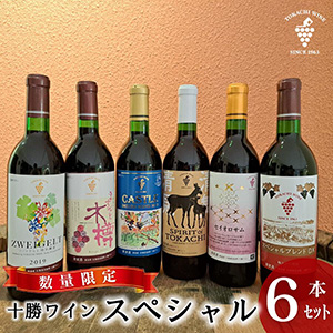 �ڿ��̸���۽����磻�󥹥ڥ����6�ܥ��å�