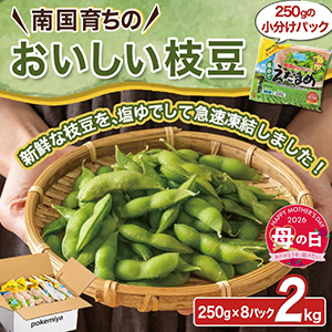 ��������ۢ㾮ʬ���ѥå���������Τ���������Ʀ2kg��5��7����10�����Ϥ���