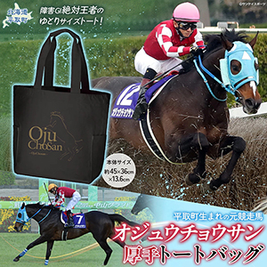 �ڥ����奦���祦����۸���ȡ��ȥХå�