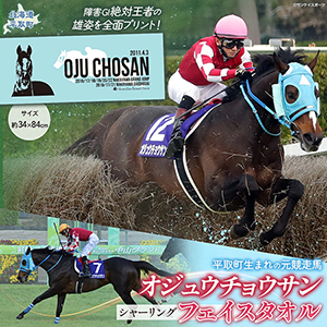 �ڥ����奦���祦����ۥ��㡼��󥰥ե�����������