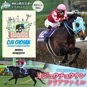 �ڥ����奦���祦����ۥ��ꥢ�ե����� ���饹��5������