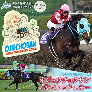 �ڥ����奦���祦����ۥ��饹�ȥ��ƥå���5������