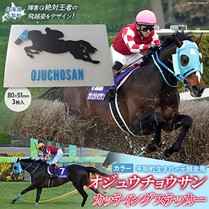 �ڥ����奦���祦����ۥ��åƥ��󥰥��ƥå���(���顼)3������