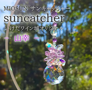 ���󥭥�å��㡼 ����