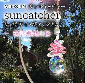 ���󥭥�å��㡼 �����ܰл���