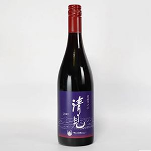 ����Į������������磻��Story of Kiyomi