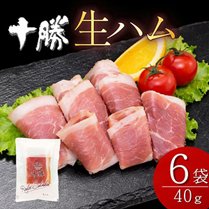 �̳�ƻ�� �ڥ���� ���ϥ�40g��6�� ��240g