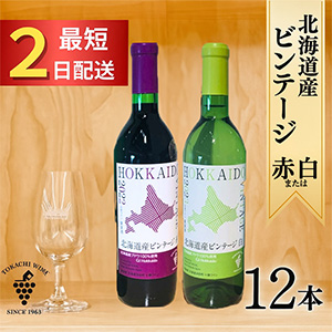 �̳�ƻ���ӥ�ơ���