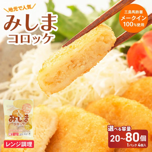 �ߤ��ޥ����å��ʥ��Ĵ����