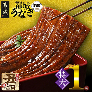 �ڱ������۵ܺ긩����Ρ�����ۤ��ʤ�����1��210g�ʾ�㻳ܥ�������բ��7��20����25�����Ϥ���