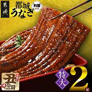 �ڱ������۵ܺ긩����Ρ�����ۤ��ʤ�����2��440g�ʾ�㻳ܥ�������բ��7��20����25�����Ϥ���