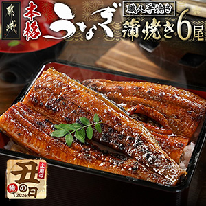 �ڱ������ۿ��ͼ�Ƥ����ܳʤ��ʤ����Ƥ�6����7��20����25�����Ϥ���