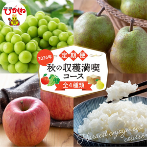 �������4��۽��μ������ʥ�����(2026ǯ9�� ���㥤��ޥ����åȤ��饹������)��