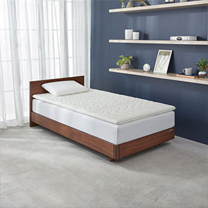 �������������ޥåȥ쥹�ȥåѡ�2.0 ��Ω