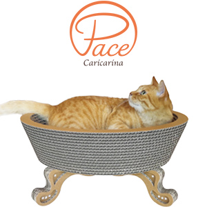 Pace �ѡ�����