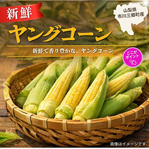 �����������Į����