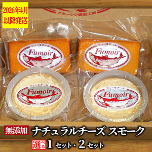 ̵ź�á��̳�ƻ���ʥ���������������⡼�����åȡ�2026ǯ4��ʹ�ȯ����