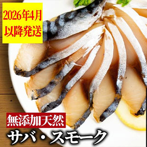 ̵ź�á����С����⡼����2026ǯ4��ʹ�ȯ����