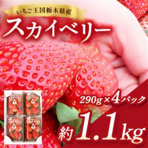 �����ͽ���2026ǯ12���ܰʹ� ȯ���в񤤤ο��������ॹ�����٥꡼ 290��4�ѥå���