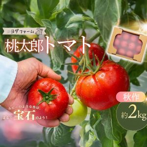 ������Զ��������ʡ۽��� �ȥޥ� ����Ϻ ��2kg