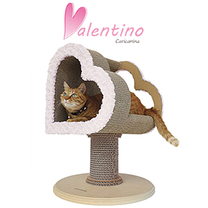 Valentino �Х��ƥ�����